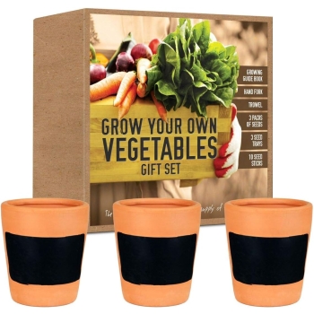 Green Finger Bumper Gift Set Includes Terracotta Chalkboard Pots
