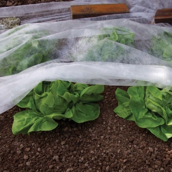 Extra Large Fleece Plant Cover Sheet