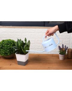 Watering Can with Long Easy Pour Spout