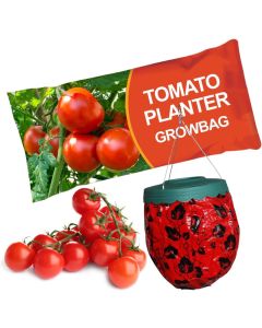 Grow Your Own Tomato Kit