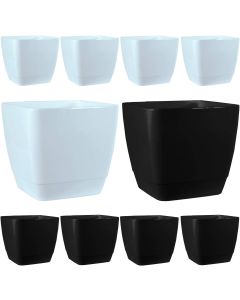 Square Plastic Indoor Planter with Gloss Finish