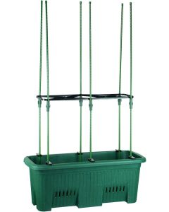 Dark Green Climbing Plants Grow Kit