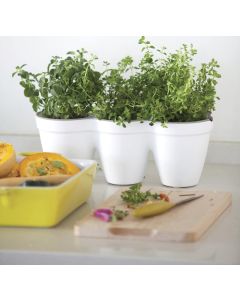 Mini Tri-Pot Planter Pot Duo Sets with Leaf Cutters