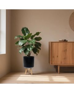 Contemporary Round Plastic Planter with Wooden