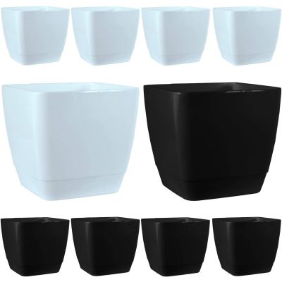 Square Plastic Indoor Planter with Gloss Finish