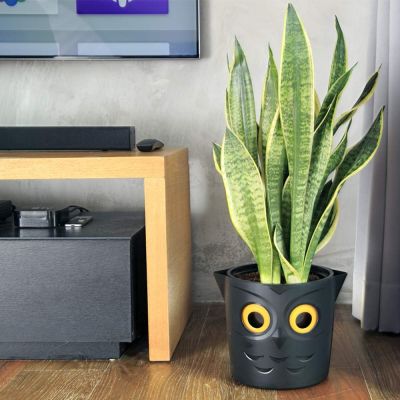 GVG Self Watering Owl Pot Smart Well Aerating High Drainage Black Halloween 