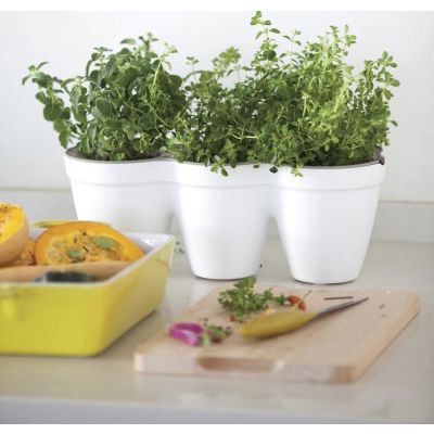 Mini Tri-Pot Planter Pot Duo Sets with Leaf Cutters