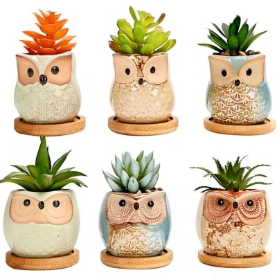 Decorative Owl Themed Ceramic Plant Pots