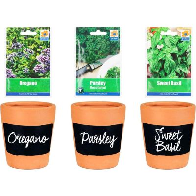 DIY Grow Your Own Herbs Sets