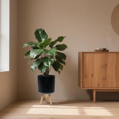 Contemporary Round Plastic Planter with Wooden
