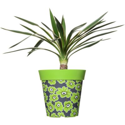 Hum Flowerpots Green Floral Plant Pot