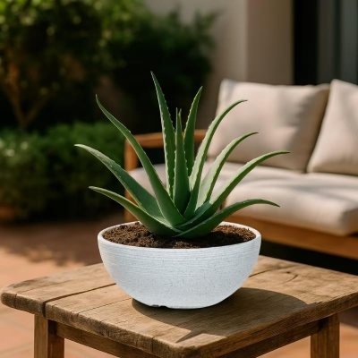 Grooved Speckle Bowl Pot Plastic Planter
