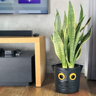 GVG Self Watering Owl Pot Smart Well Aerating High Drainage Black Halloween 