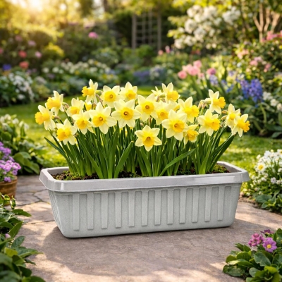 Plastic Chunky Garden Trough Planter Pots