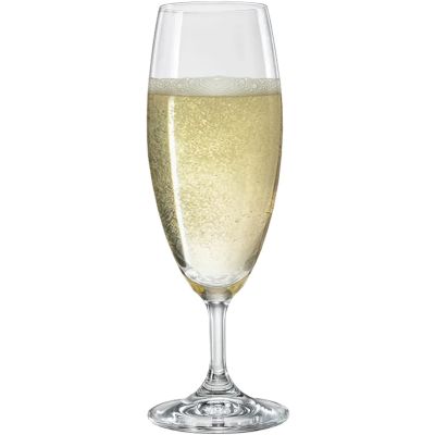 Bohemia Crystal Short Stem Champagne Flute