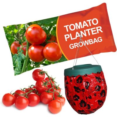 Grow Your Own Tomato Kit