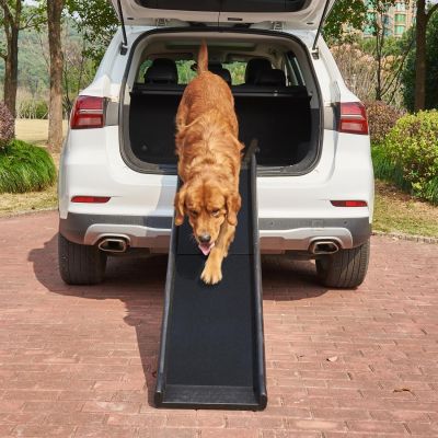 Folding Lightweight Black Plastic Portable Dog Pet Ramp