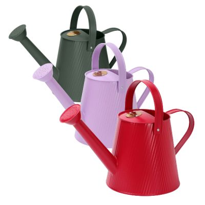 Simpa 3L Colour Metal Watering Can with Watering Rose