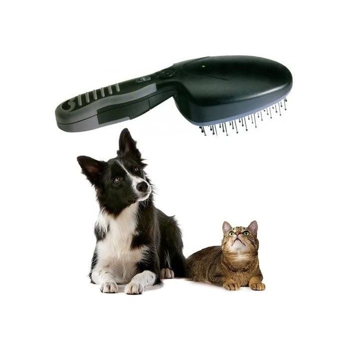 Ionic pet brush on sale